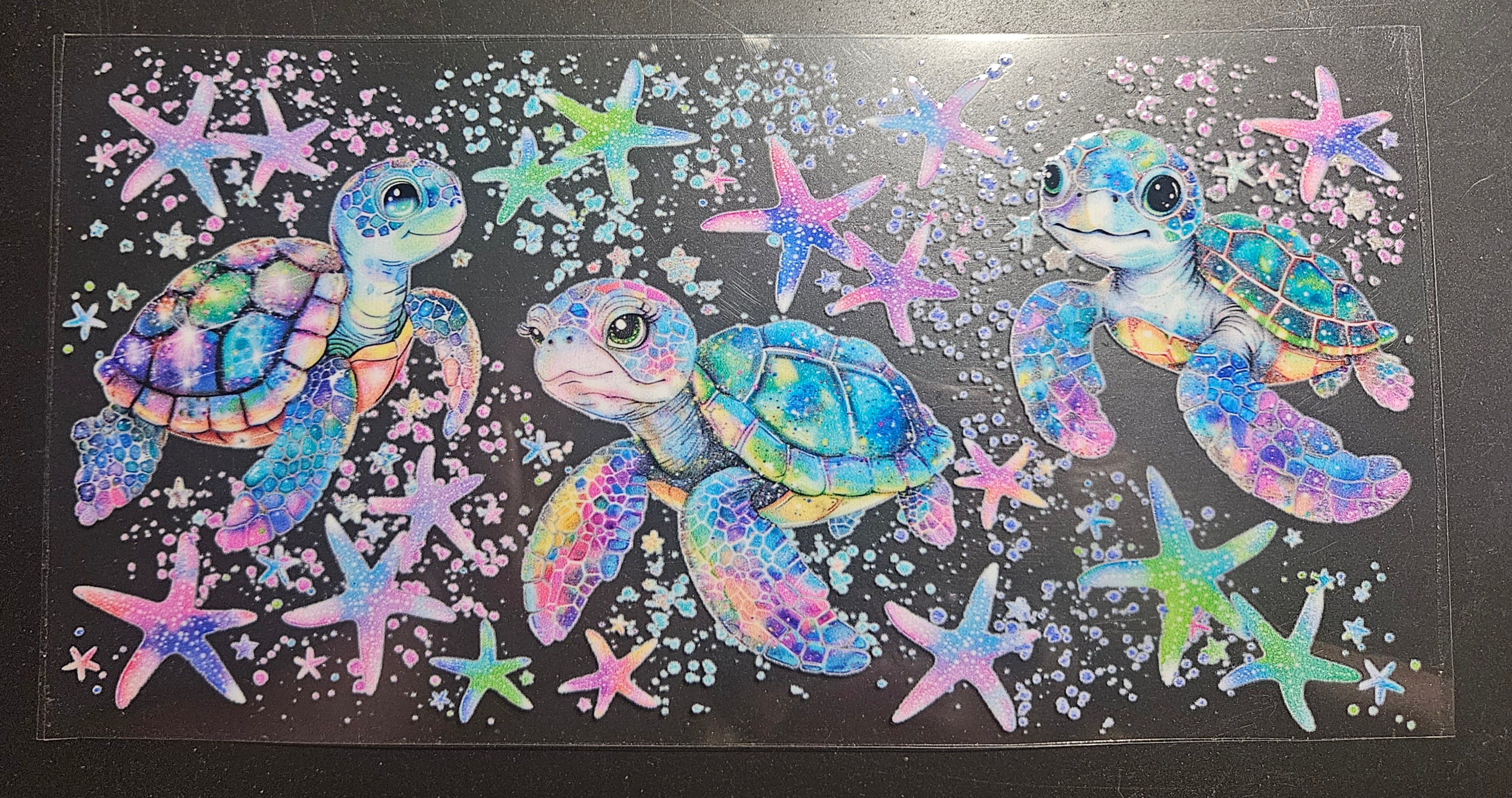 Sea turtles