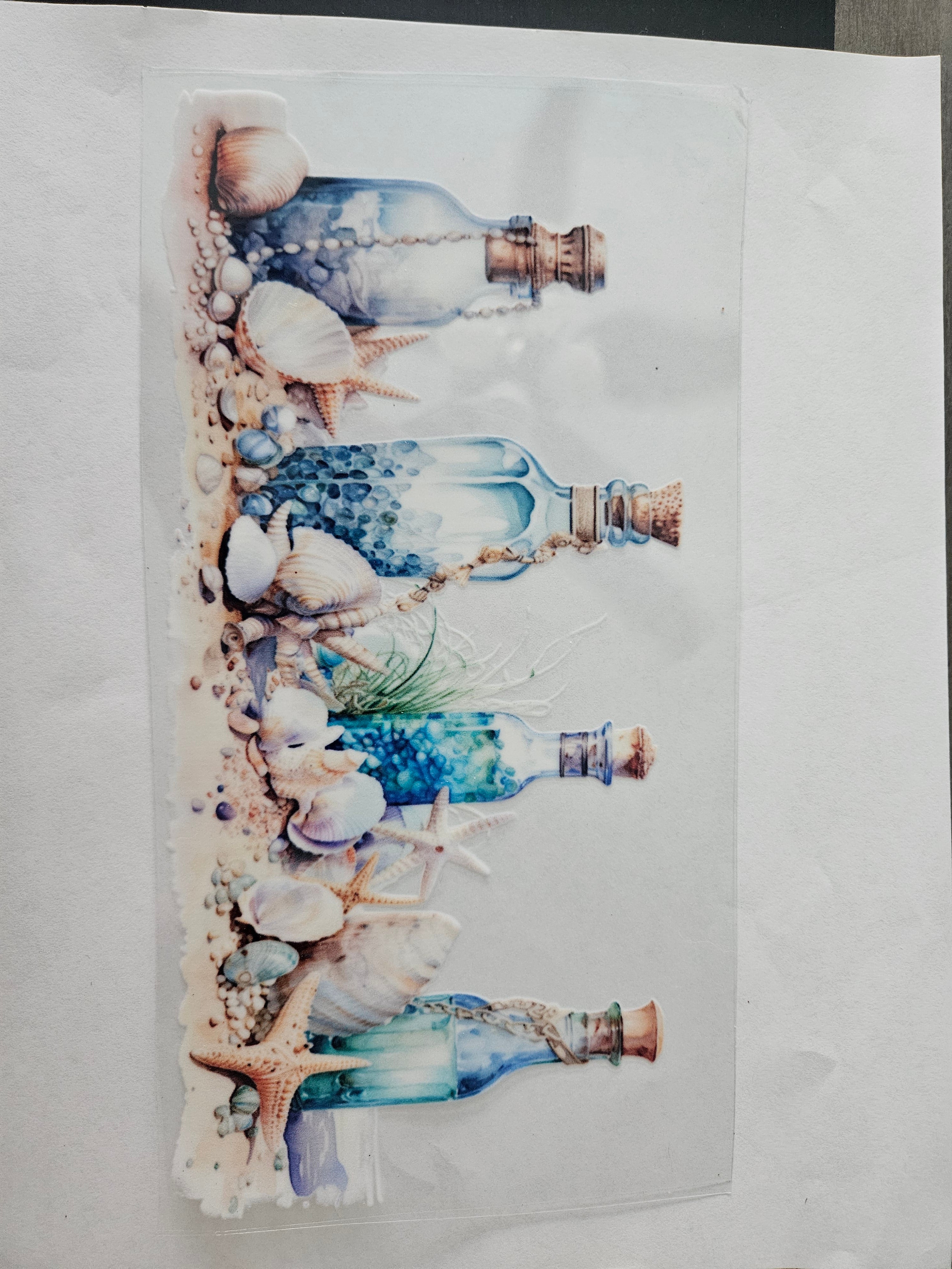 Bottles and shells