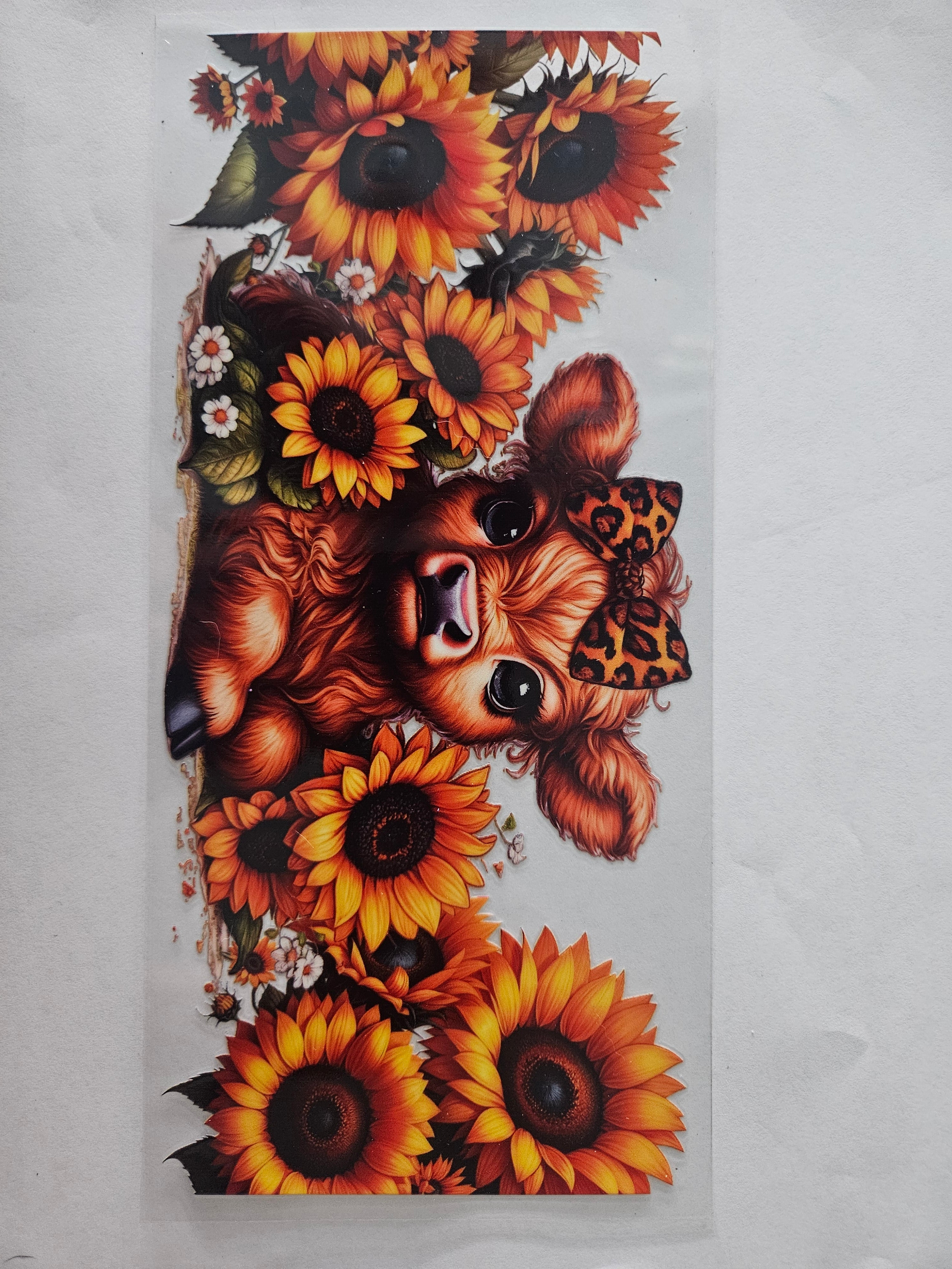 Sunflower cow