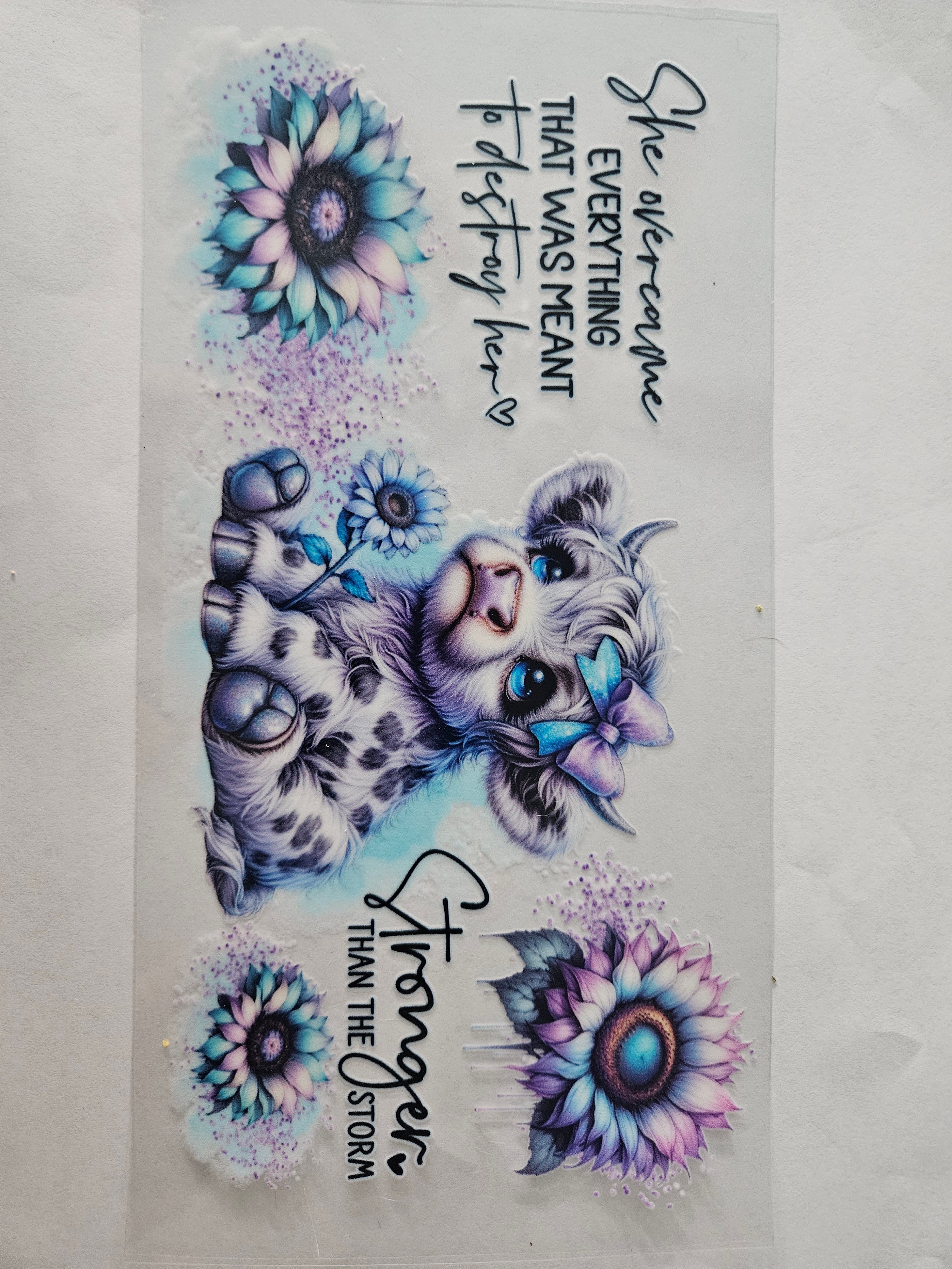 Stronger than the storm