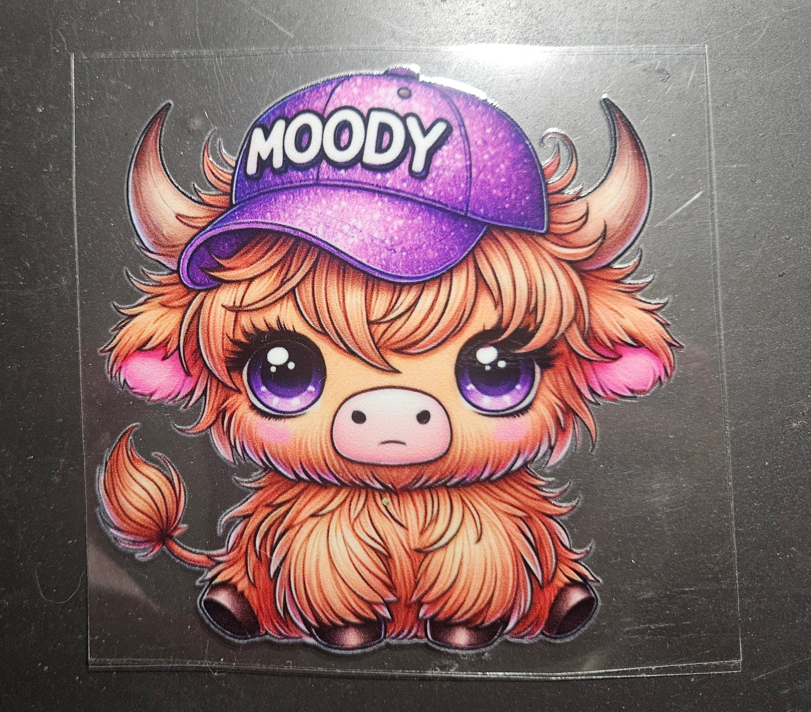 Moody cow